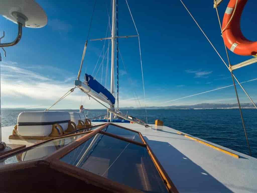 Boat picture 14