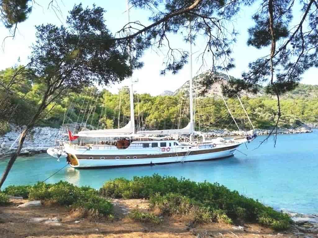 Boat picture 6