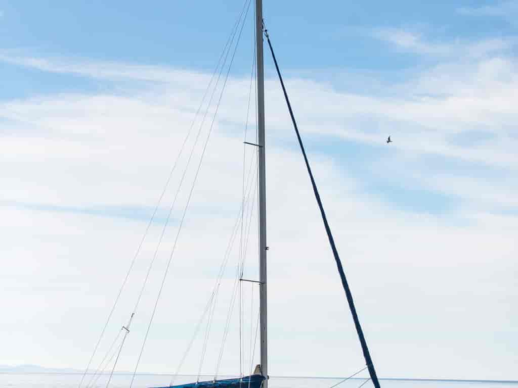 Boat picture 31