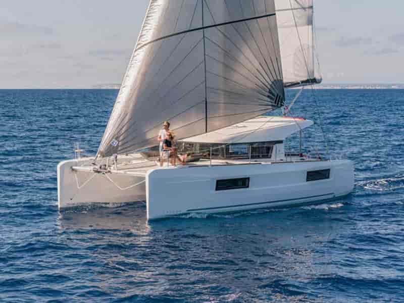Photo of Tom Cat, image 1 of 5