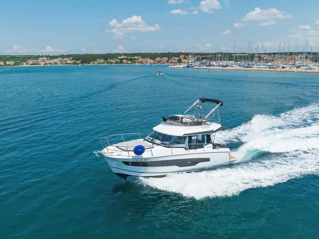 Photo 4 of Raptor