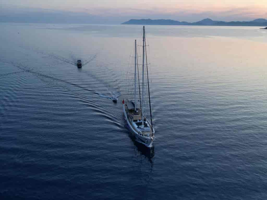 Photo 6 of Nautilus