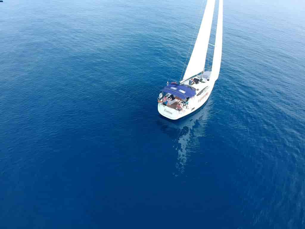 Boat picture 8