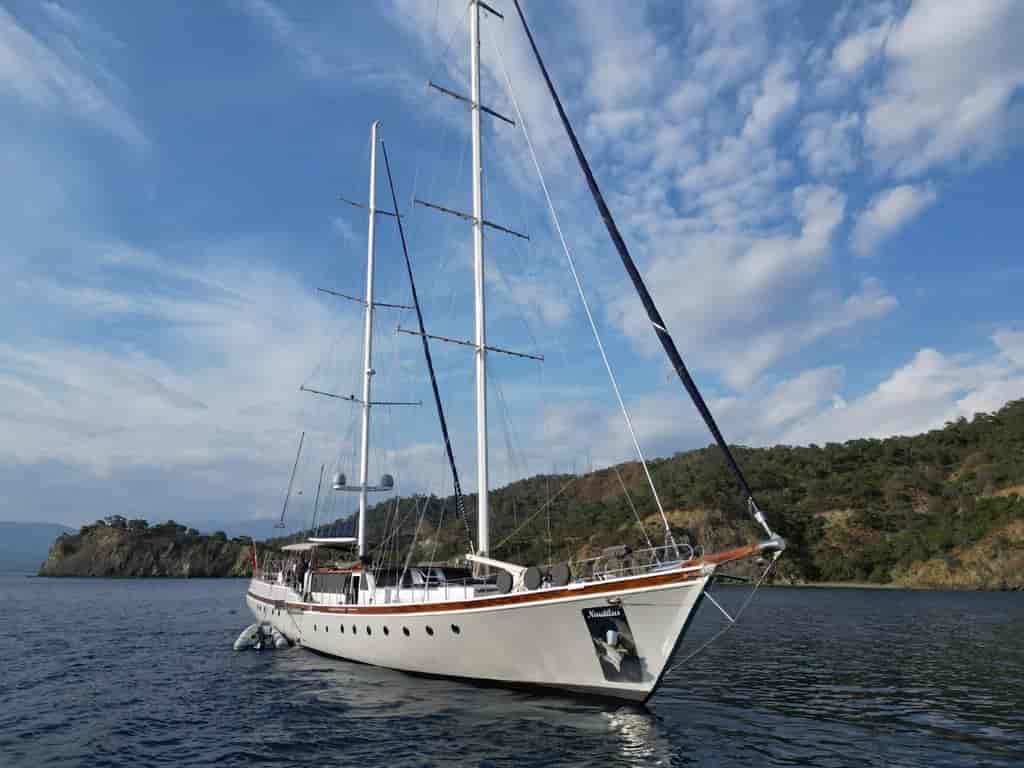 Photo 5 of Nautilus