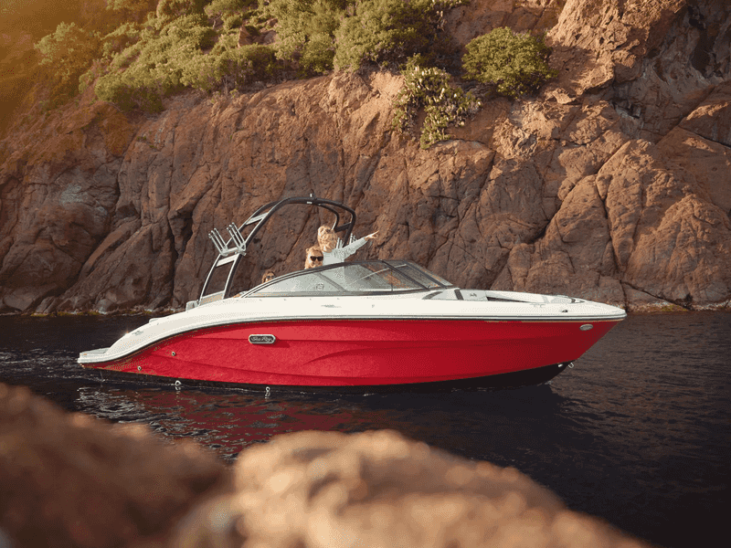 Photo of Sea Ray SPX 210, image 1 of 5