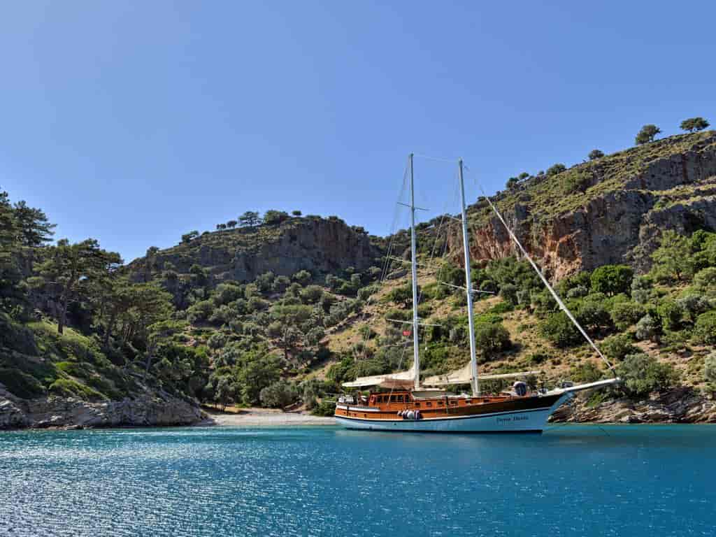 Boat picture 19