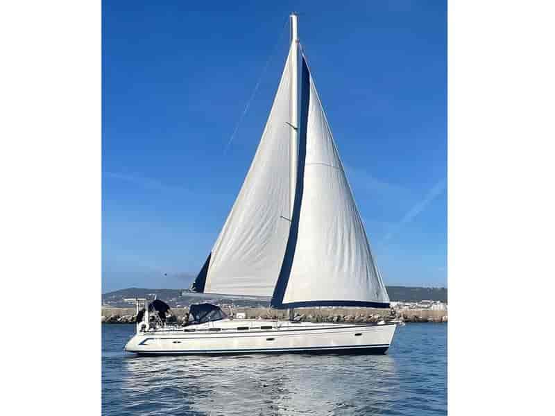 Photo of Melodia, image 1 of 3