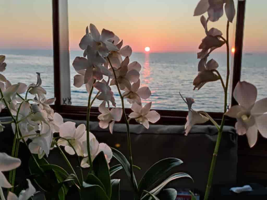 Boat picture 7