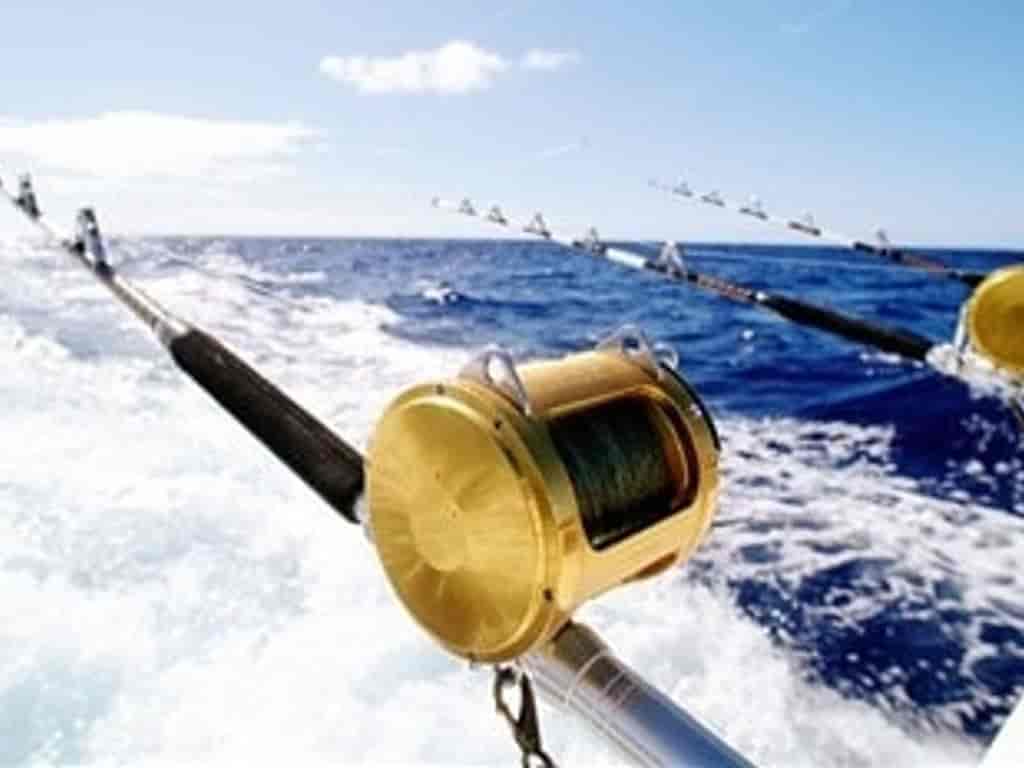 Boat picture 44
